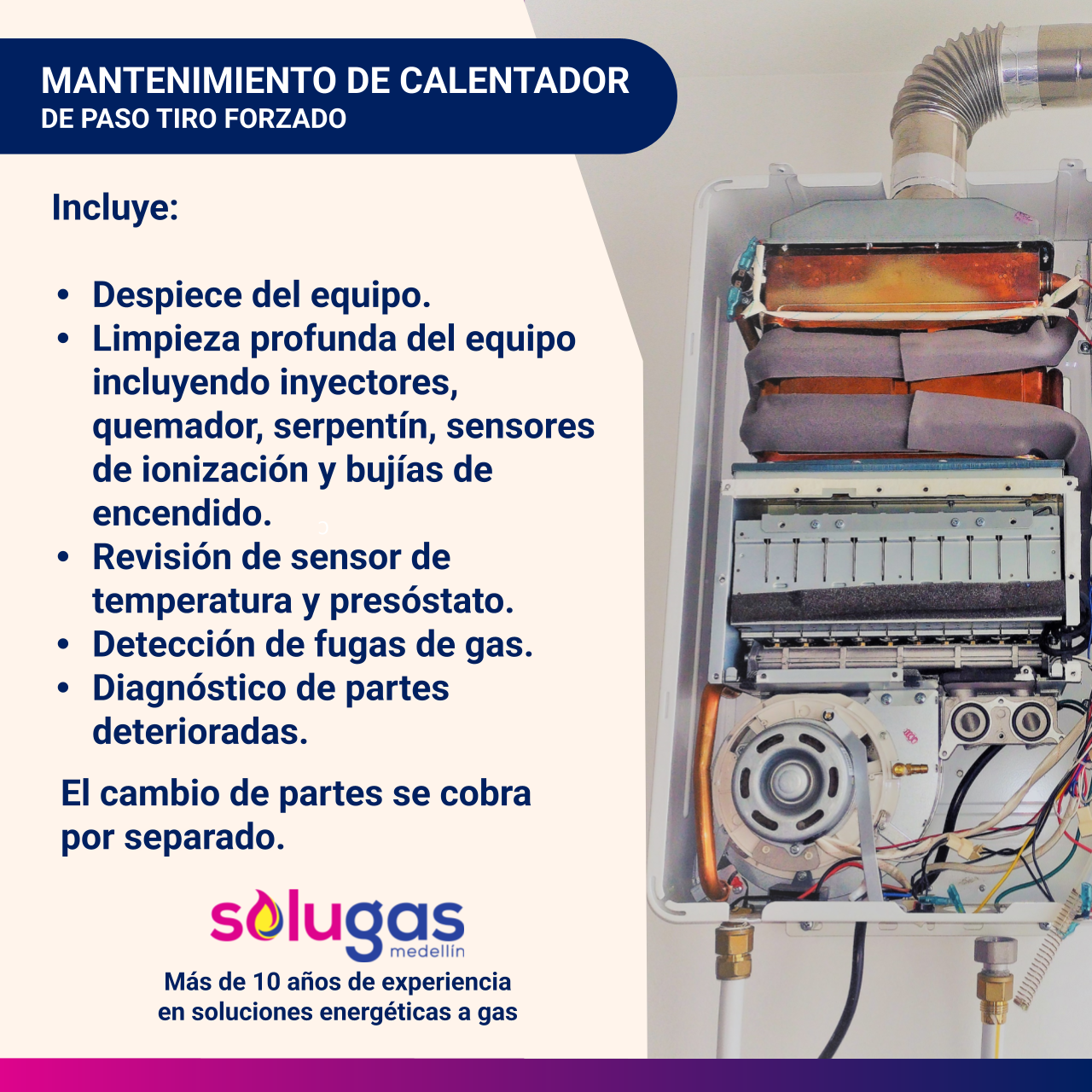 Mantenimiento Calentador Tiro Forzado - Imagen 2